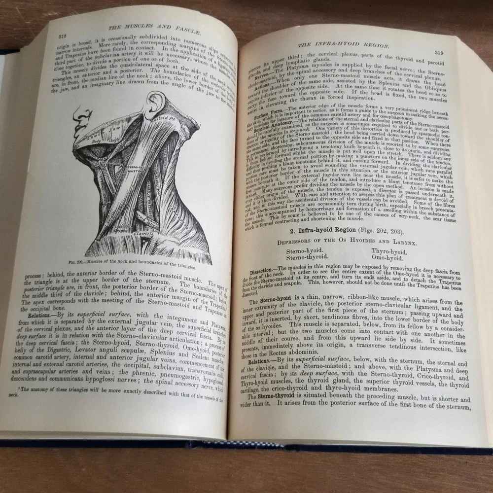 Bounty Books Gray's Anatomy Classic Collector's Edition Blue Hardcover 1977 Book